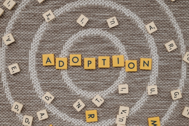 Considering Adoption