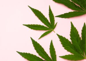 marijuana use during pregnancy - Alcove health womens clinic Newport News Virginia