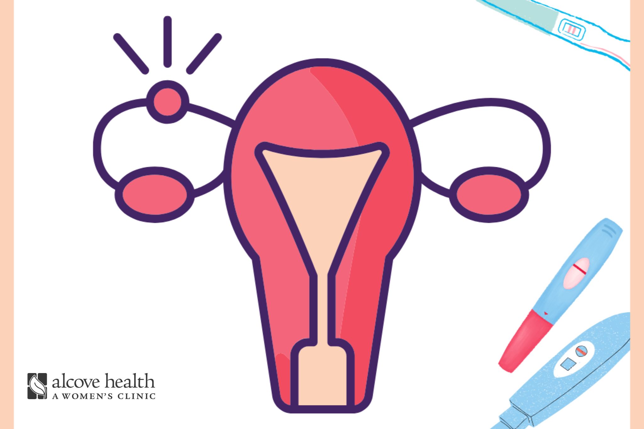 Do Ectopic Pregnancies Show Up On A Pregnancy Test? - Alcove Health Women's Clinic Newport News, Hampton, Chesterfield, VA