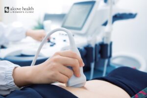 Fetal Development In The First 6 Weeks - Alcove Health Women's Clinic Newport News, Hampton, Chesterfield, VA