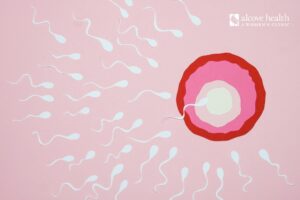 Does Life Begin at Conception? - Alcove Health Women's Clinic Newport News, Hampton, Chesterfield, VA