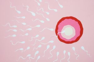 Does Life Begin at Conception? - Alcove Health Women's Clinic Newport News, VA